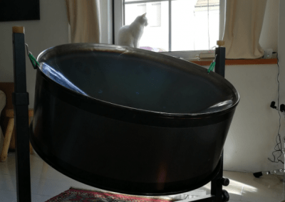 cat-steelpan